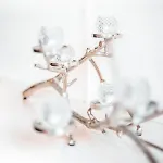 Christania 4*